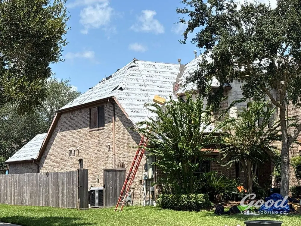Two-story residential roof dried in with synthetic underlayment, ladder set at the eave.